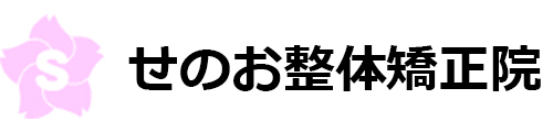 せのお整体矯正院